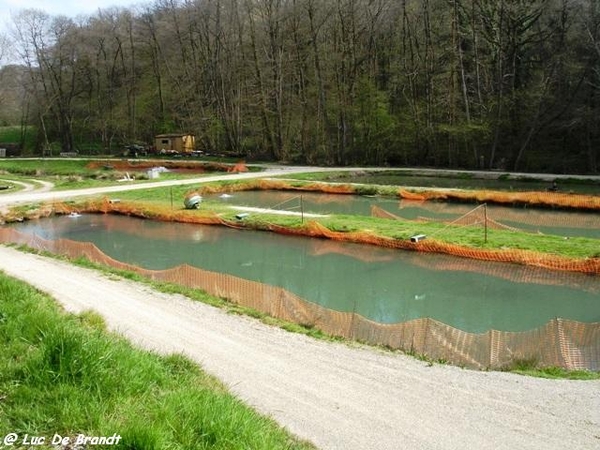 ardennen wandeling Adeps Romedenne