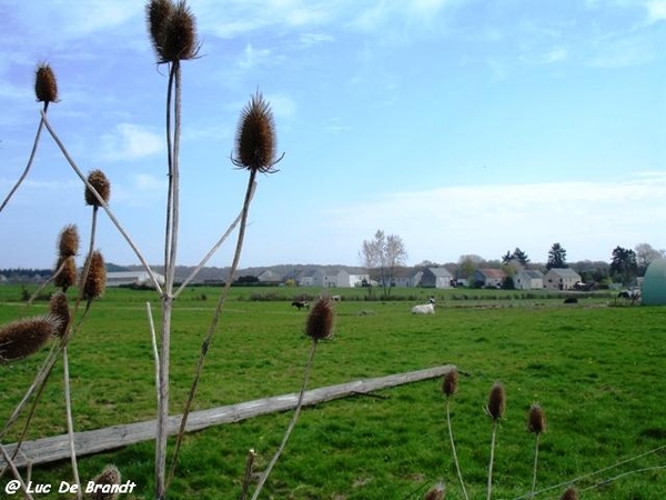 ardennen wandeling Adeps Romedenne