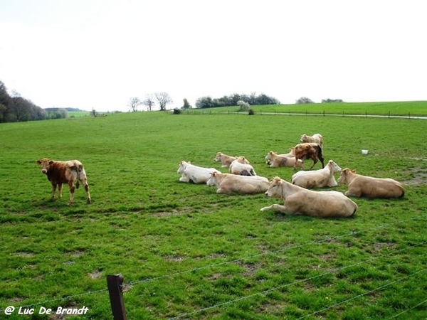 ardennen wandeling Adeps Romedenne