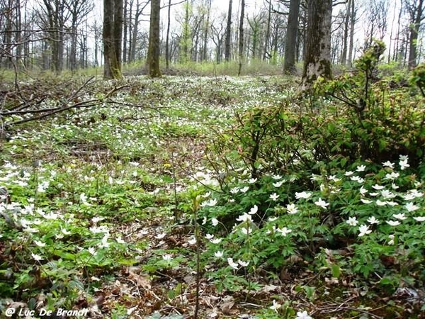 ardennen wandeling Adeps Romedenne