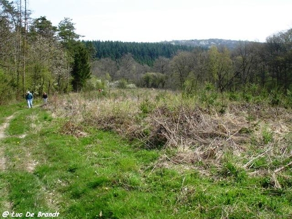 ardennen wandeling Adeps Romedenne