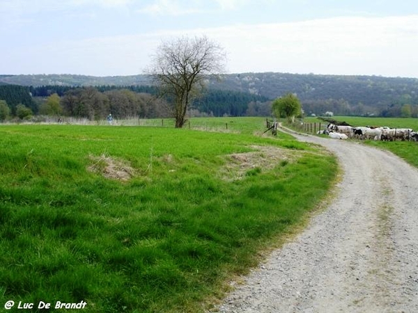 ardennen wandeling Adeps Romedenne