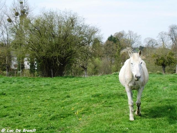 ardennen wandeling Adeps Romedenne