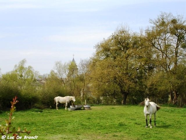 ardennen wandeling Adeps Romedenne