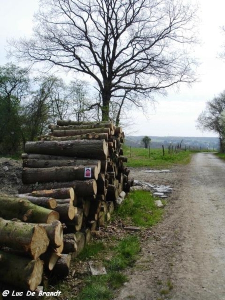 ardennen wandeling Adeps Romedenne