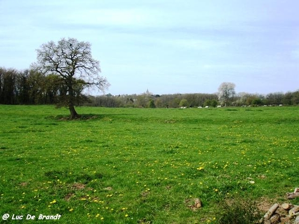 ardennen wandeling Adeps Romedenne