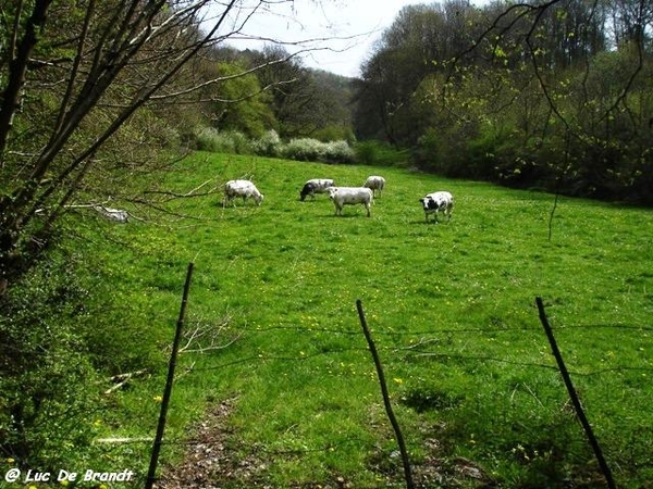 ardennen wandeling Adeps Romedenne