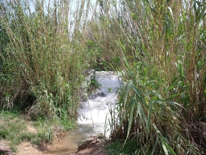 Antalya.wat.2