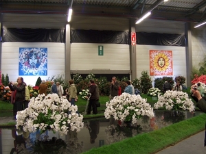 HPIM2489