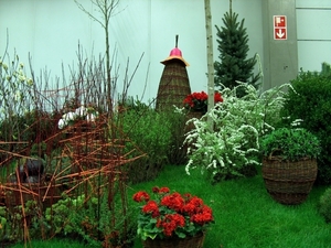 HPIM2575