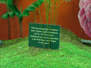 HPIM2639