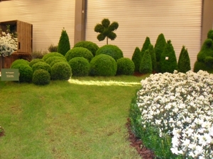 SDC12625