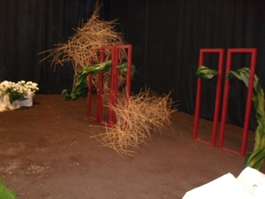 SDC12637