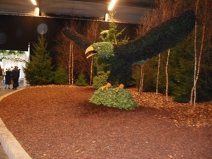 SDC12647