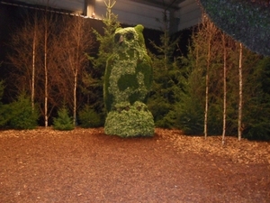 SDC12648