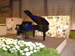 SDC12650