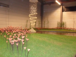 SDC12659
