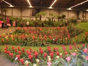 SDC12669