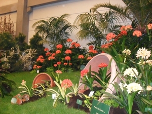SDC12677