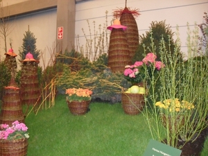 SDC12678