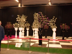 SDC12685