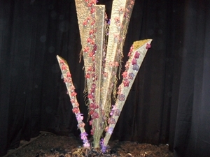 SDC12687