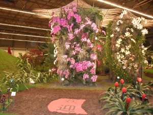 SDC12705