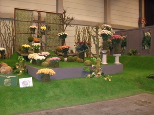 SDC12707