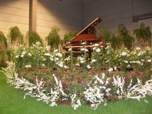 SDC12709