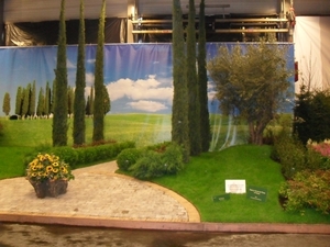 SDC12713