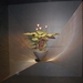 SDC12729