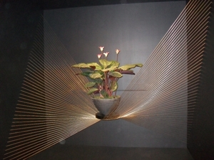SDC12729