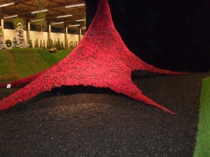 SDC12733