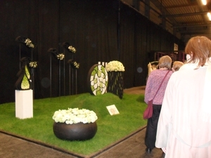 SDC12746