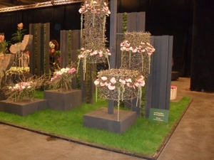 SDC12748