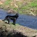 10042010-IMG_2952