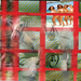 gelukkig de paarden weer