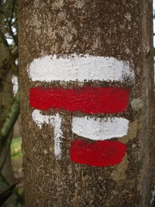 rood-wit texelpad