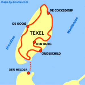 texel pad