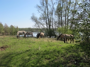 Foto op kijk hoogte van 165 Cm.