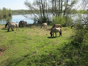 Dezelfde positie Foto op 3 meter hoogte