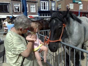 Amber in Zeeland