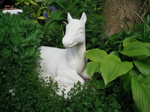 Ons paardje