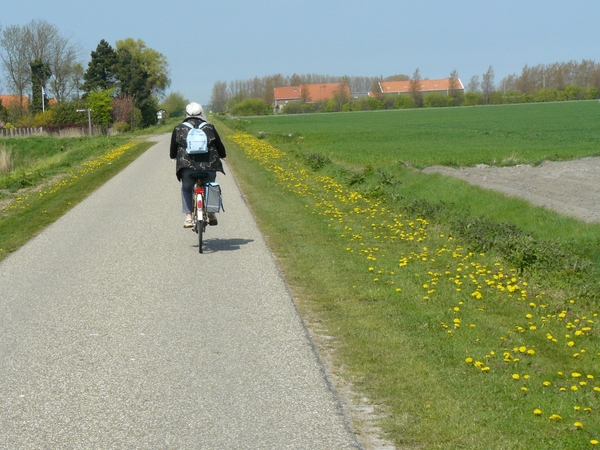 burg-haamstede pan 060