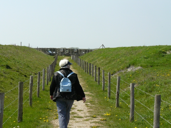 burg-haamstede pan 061