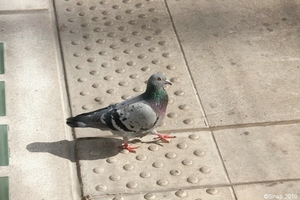 sized_IMG_2401