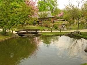 Japanse tuin lente 2010 021