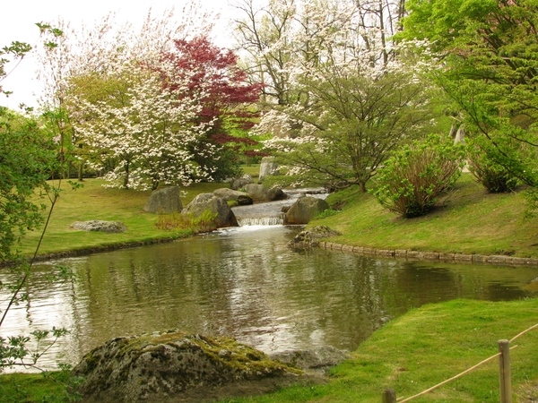 Japanse tuin lente 2010 025