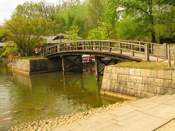 Japanse tuin lente 2010 031