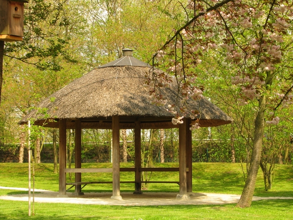 Japanse tuin lente 2010 037